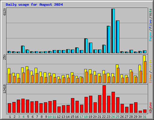 Daily usage for August 2024