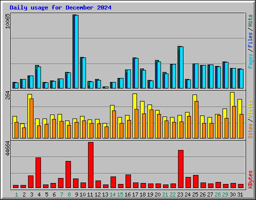 Daily usage for December 2024