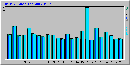 Hourly usage for July 2024