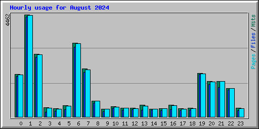 Hourly usage for August 2024