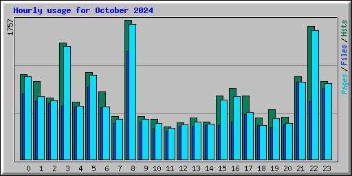 Hourly usage for October 2024