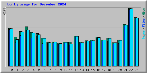 Hourly usage for December 2024