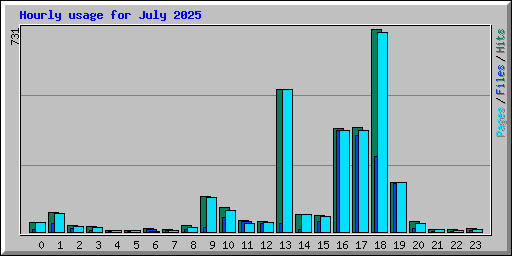 Hourly usage for July 2025